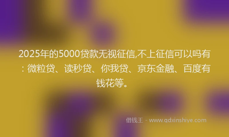 2025年的5000贷款无视征信,不上征信可以吗有：微粒贷、读秒贷、你我贷、京东金融、百度有钱花等。