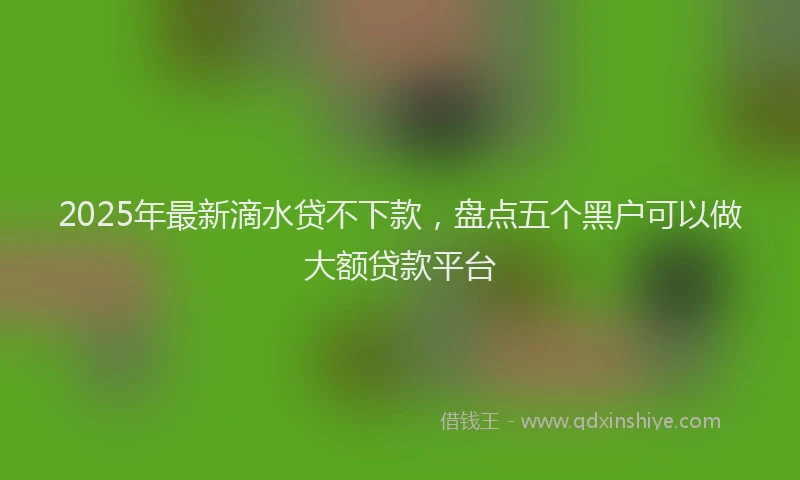 2025年最新滴水贷不下款，盘点五个黑户可以做大额贷款平台