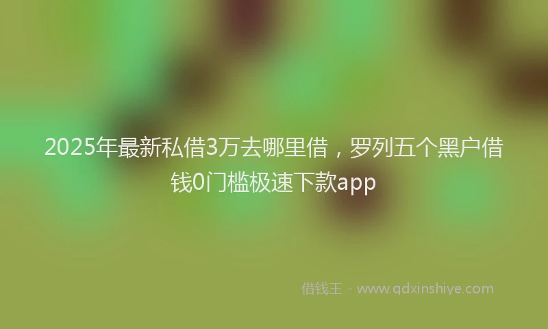 2025年最新私借3万去哪里借，罗列五个黑户借钱0门槛极速下款app