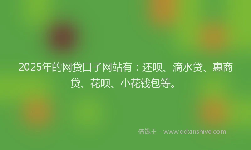 2025年的网贷口子网站有：还呗、滴水贷、惠商贷、花呗、小花钱包等。