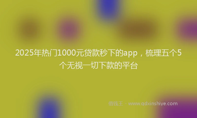 2025年热门1000元贷款秒下的app，梳理五个5个无视一切下款的平台