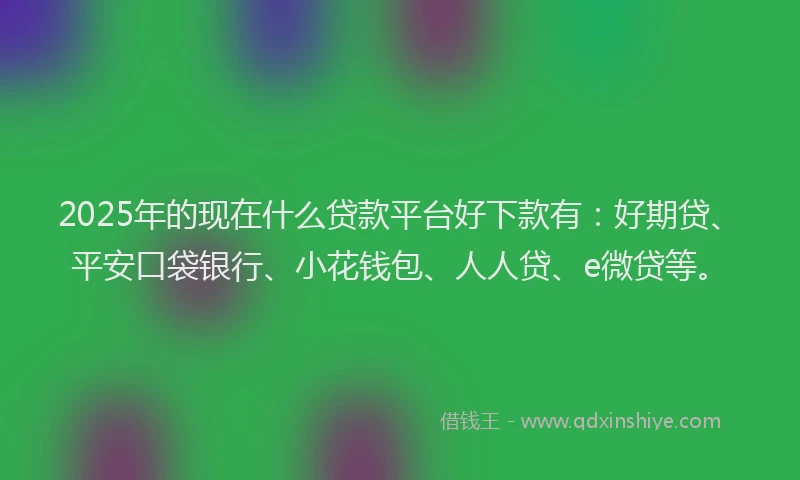 2025年的现在什么贷款平台好下款有：好期贷、平安口袋银行、小花钱包、人人贷、e微贷等。