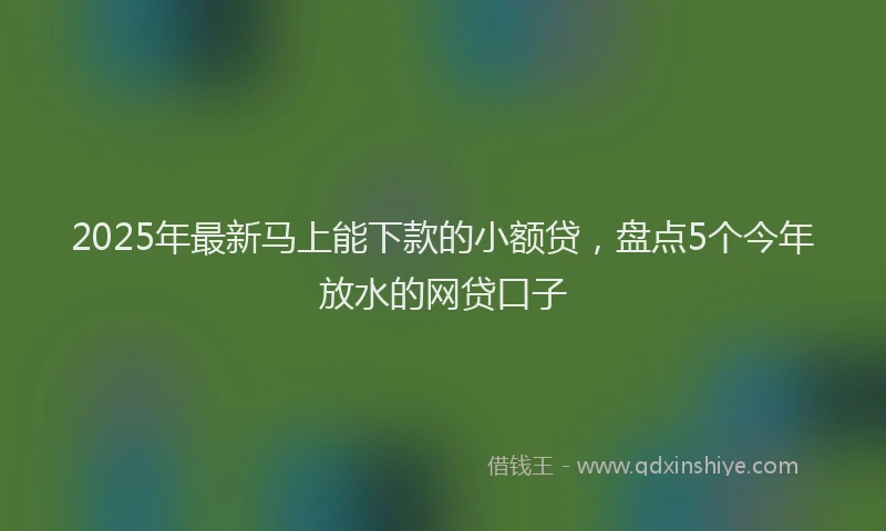 2025年最新马上能下款的小额贷，盘点5个今年放水的网贷口子