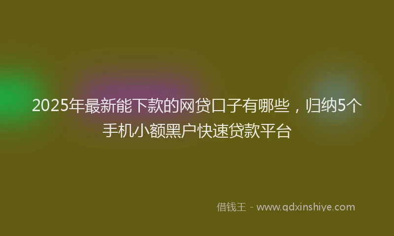 2025年最新能下款的网贷口子有哪些，归纳5个手机小额黑户快速贷款平台
