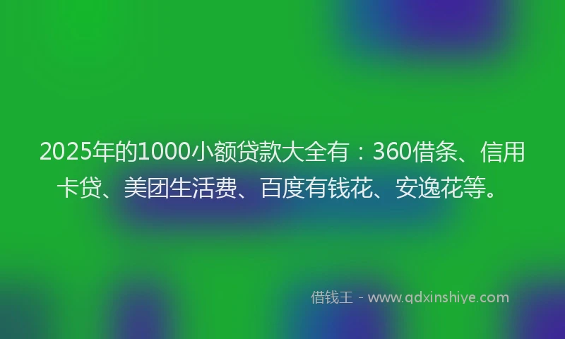2025年的1000小额贷款大全有：360借条、信用卡贷、美团生活费、百度有钱花、安逸花等。