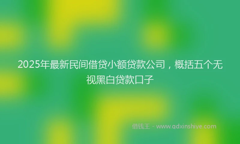 2025年最新民间借贷小额贷款公司，概括五个无视黑白贷款口子