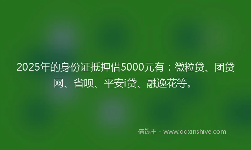 2025年的身份证抵押借5000元有：微粒贷、团贷网、省呗、平安i贷、融逸花等。