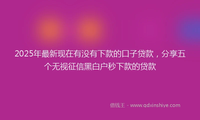 2025年最新现在有没有下款的口子贷款，分享五个无视征信黑白户秒下款的贷款