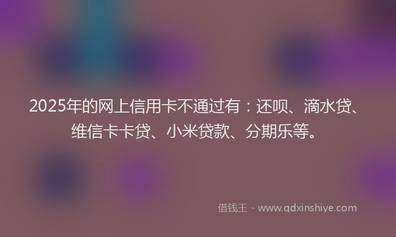 2025年的网上信用卡不通过有：还呗、滴水贷、维信卡卡贷、小米贷款、分期乐等。