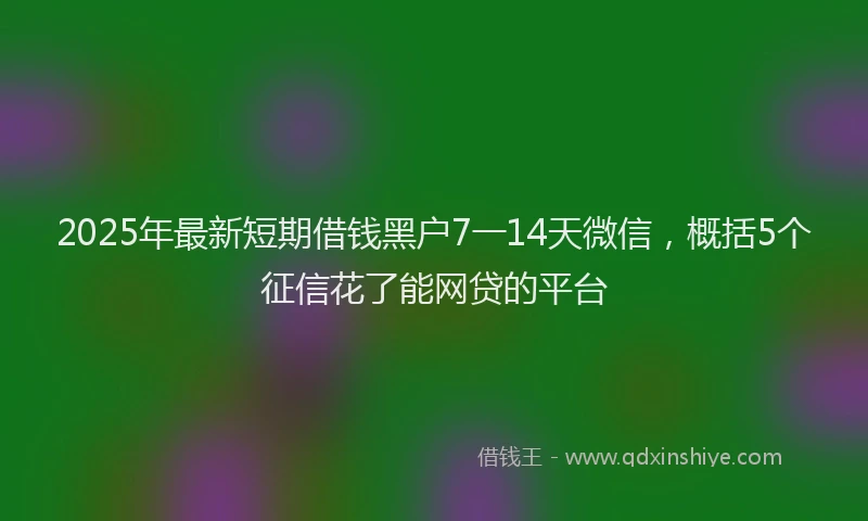 2025年最新短期借钱黑户7一14天微信，概括5个征信花了能网贷的平台