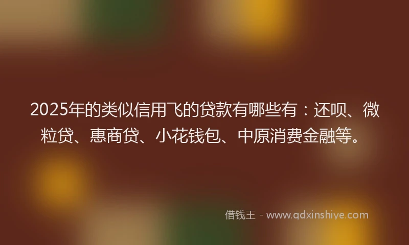 2025年的类似信用飞的贷款有哪些有：还呗、微粒贷、惠商贷、小花钱包、中原消费金融等。