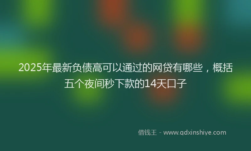 2025年最新负债高可以通过的网贷有哪些，概括五个夜间秒下款的14天口子