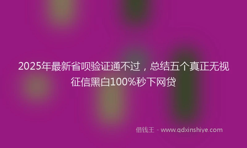 2025年最新省呗验证通不过，总结五个真正无视征信黑白100%秒下网贷