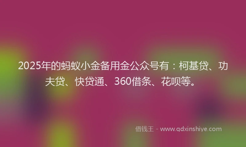 2025年的蚂蚁小金备用金公众号有：柯基贷、功夫贷、快贷通、360借条、花呗等。
