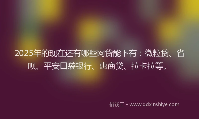 2025年的现在还有哪些网贷能下有：微粒贷、省呗、平安口袋银行、惠商贷、拉卡拉等。