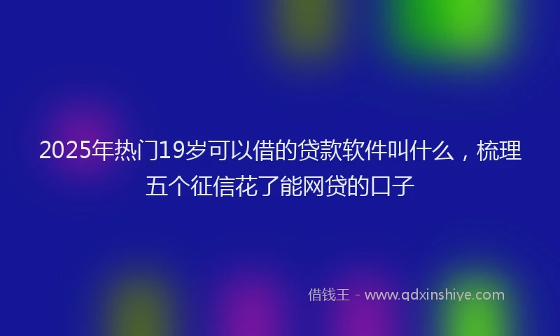 2025年热门19岁可以借的贷款软件叫什么，梳理五个征信花了能网贷的口子