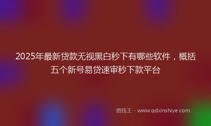 2025年最新贷款无视黑白秒下有哪些软件，概括五个新号易贷速审秒下款平台