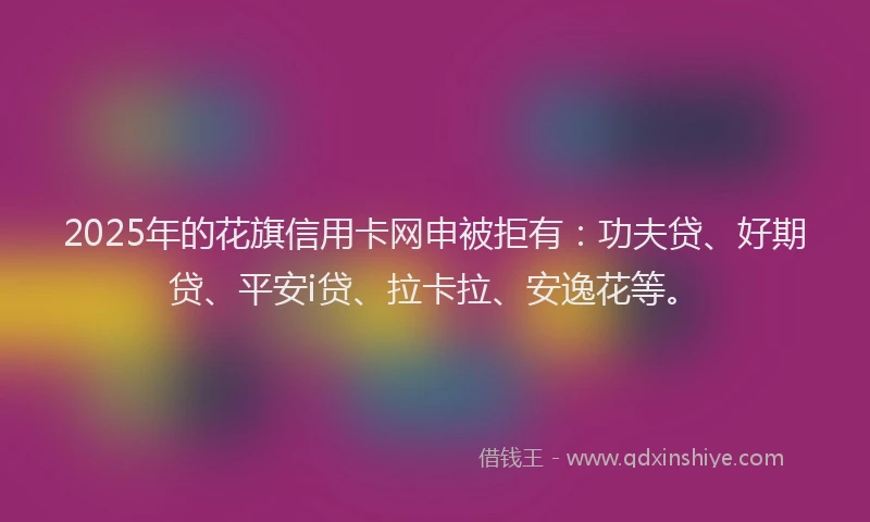 2025年的花旗信用卡网申被拒有：功夫贷、好期贷、平安i贷、拉卡拉、安逸花等。