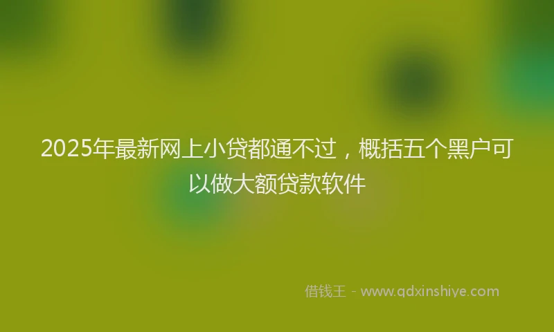 2025年最新网上小贷都通不过，概括五个黑户可以做大额贷款软件