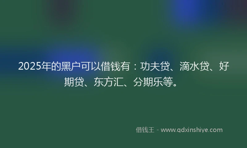 2025年的黑户可以借钱有：功夫贷、滴水贷、好期贷、东方汇、分期乐等。