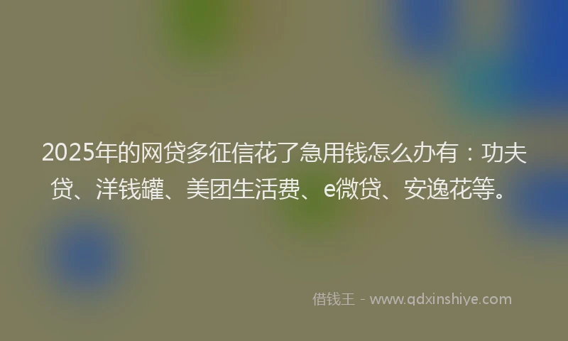 2025年的网贷多征信花了急用钱怎么办有：功夫贷、洋钱罐、美团生活费、e微贷、安逸花等。