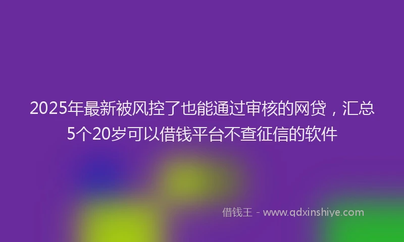 2025年最新被风控了也能通过审核的网贷，汇总5个20岁可以借钱平台不查征信的软件