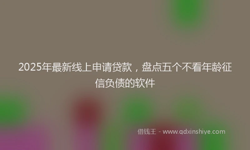 2025年最新线上申请贷款，盘点五个不看年龄征信负债的软件