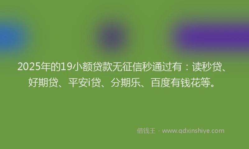 2025年的19小额贷款无征信秒通过有：读秒贷、好期贷、平安i贷、分期乐、百度有钱花等。