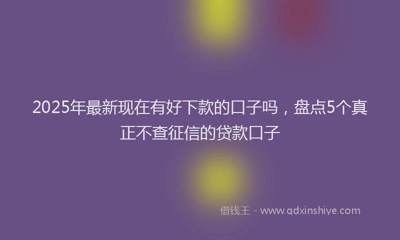 2025年最新现在有好下款的口子吗，盘点5个真正不查征信的贷款口子