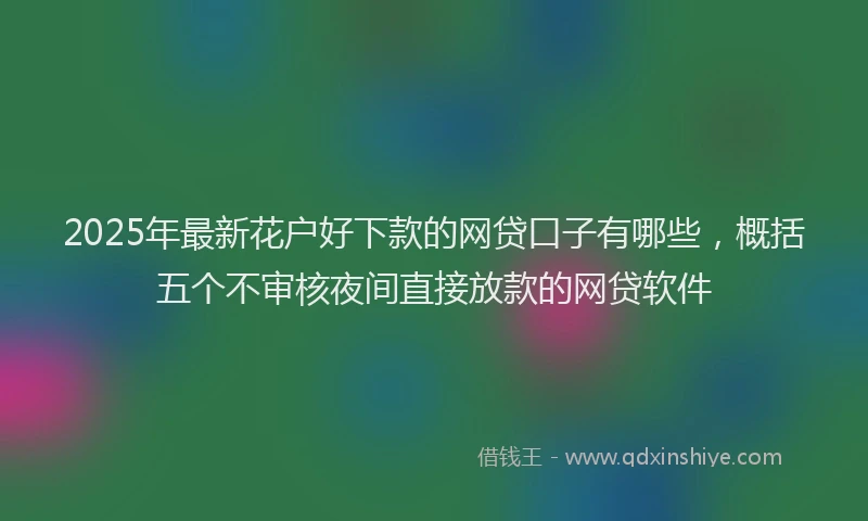 2025年最新花户好下款的网贷口子有哪些，概括五个不审核夜间直接放款的网贷软件