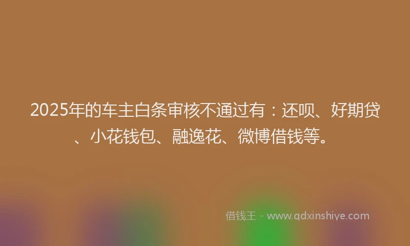 2025年的车主白条审核不通过有：还呗、好期贷、小花钱包、融逸花、微博借钱等。