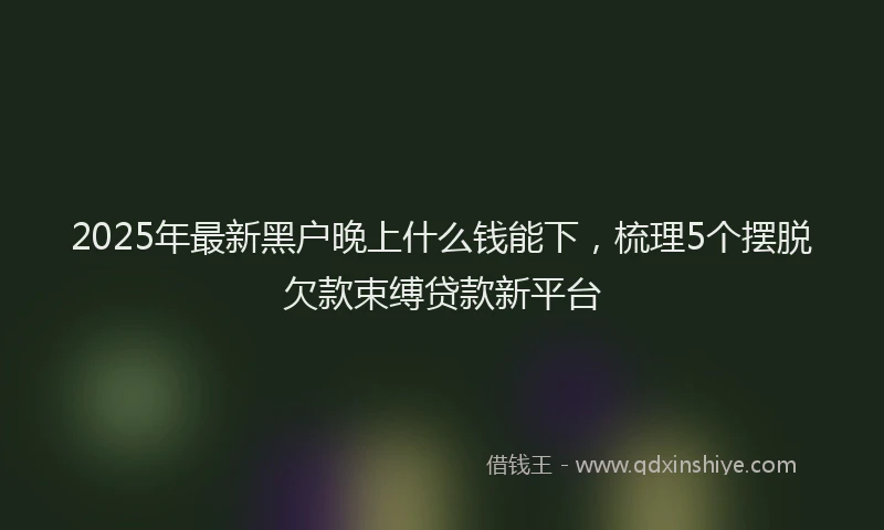 2025年最新黑户晚上什么钱能下，梳理5个摆脱欠款束缚贷款新平台
