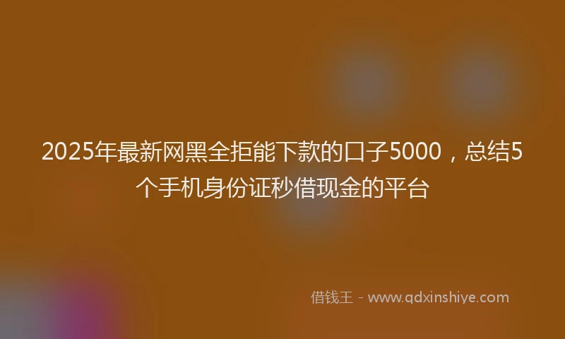 2025年最新网黑全拒能下款的口子5000，总结5个手机身份证秒借现金的平台