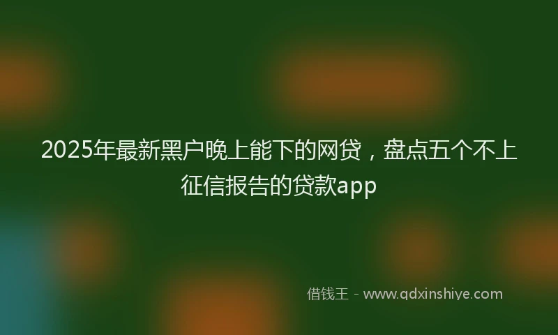 2025年最新黑户晚上能下的网贷，盘点五个不上征信报告的贷款app