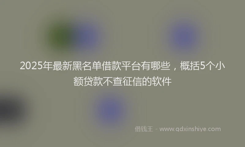 2025年最新黑名单借款平台有哪些，概括5个小额贷款不查征信的软件