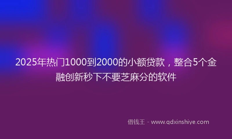 2025年热门1000到2000的小额贷款，整合5个金融创新秒下不要芝麻分的软件