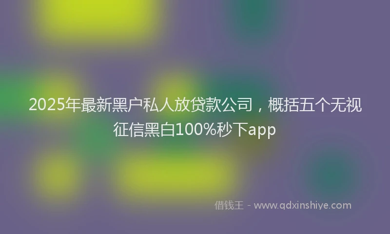 2025年最新黑户私人放贷款公司，概括五个无视征信黑白100%秒下app