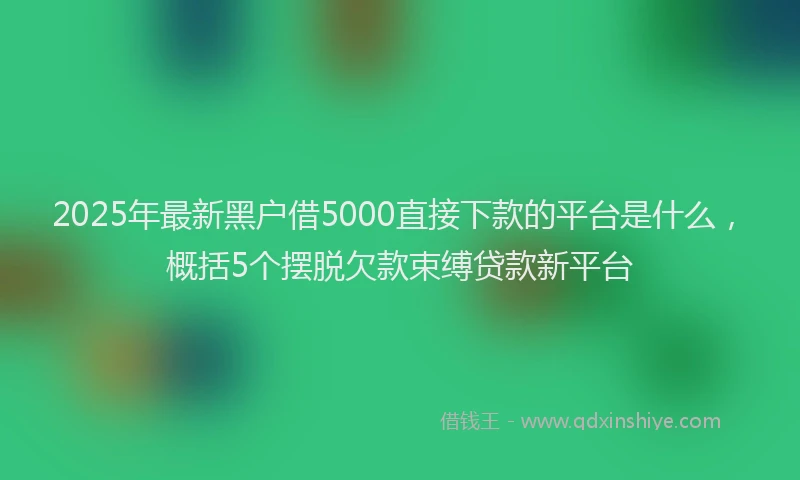 2025年最新黑户借5000直接下款的平台是什么，概括5个摆脱欠款束缚贷款新平台