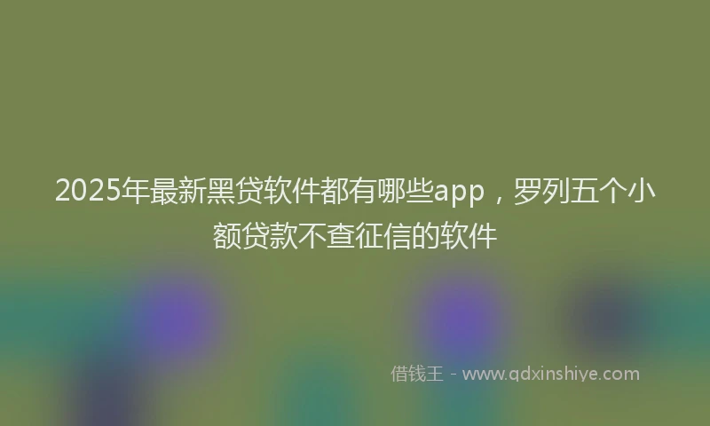 2025年最新黑贷软件都有哪些app，罗列五个小额贷款不查征信的软件