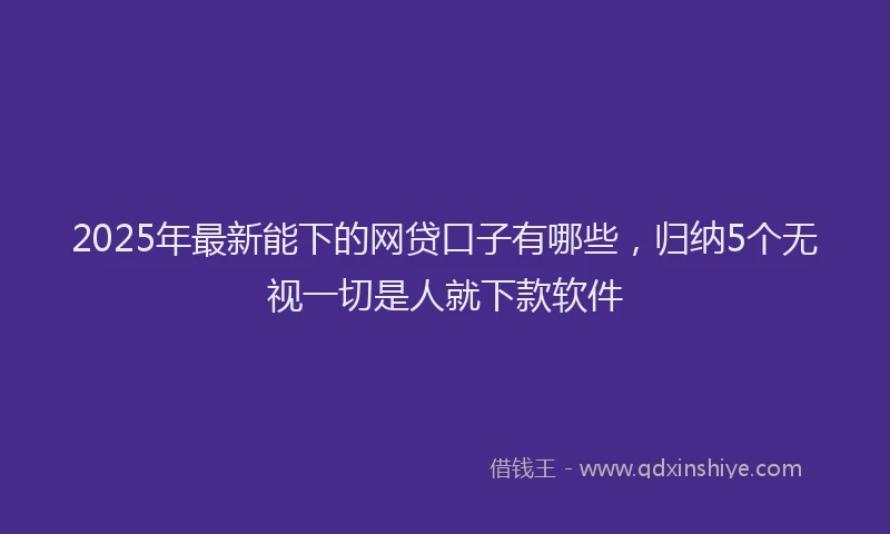 2025年最新能下的网贷口子有哪些，归纳5个无视一切是人就下款软件