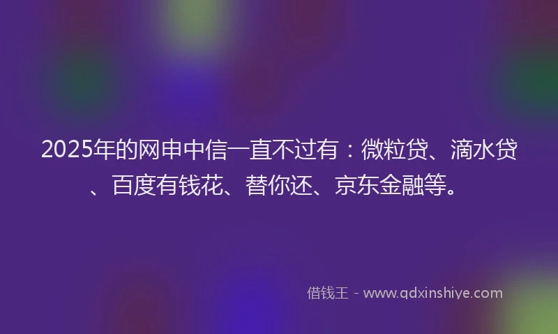 2025年的网申中信一直不过有：微粒贷、滴水贷、百度有钱花、替你还、京东金融等。