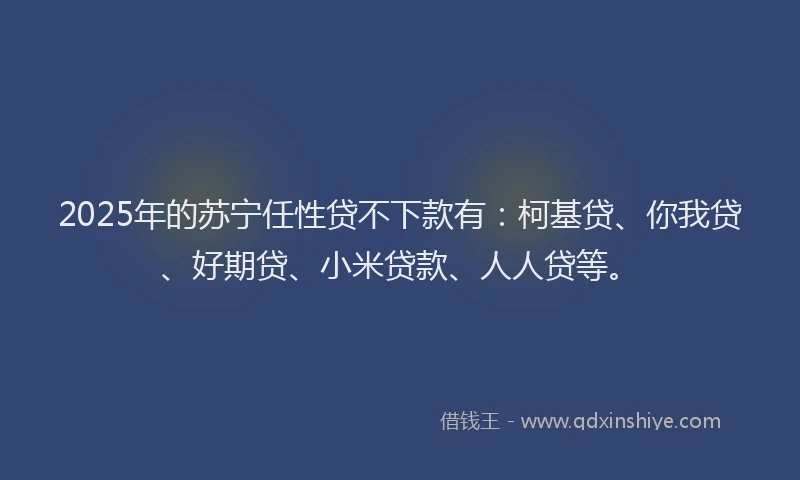 2025年的苏宁任性贷不下款有：柯基贷、你我贷、好期贷、小米贷款、人人贷等。