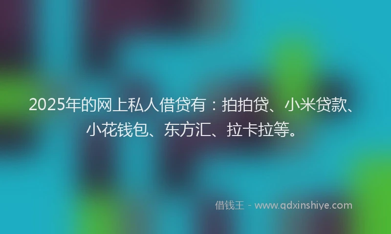 2025年的网上私人借贷有：拍拍贷、小米贷款、小花钱包、东方汇、拉卡拉等。