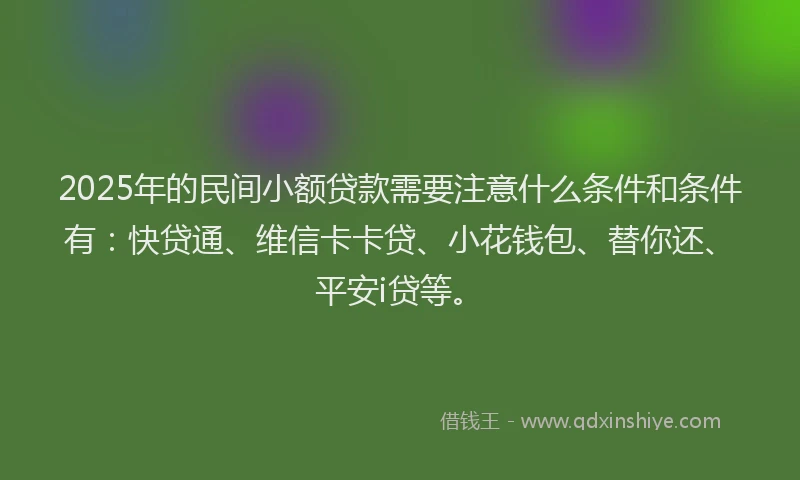 2025年的民间小额贷款需要注意什么条件和条件有：快贷通、维信卡卡贷、小花钱包、替你还、平安i贷等。