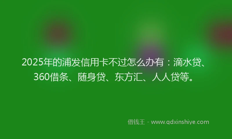 2025年的浦发信用卡不过怎么办有：滴水贷、360借条、随身贷、东方汇、人人贷等。