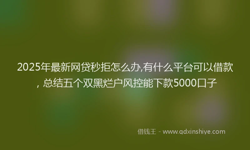 2025年最新网贷秒拒怎么办,有什么平台可以借款，总结五个双黑烂户风控能下款5000口子