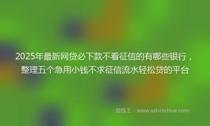 2025年最新网贷必下款不看征信的有哪些银行，整理五个急用小钱不求征信流水轻松贷的平台