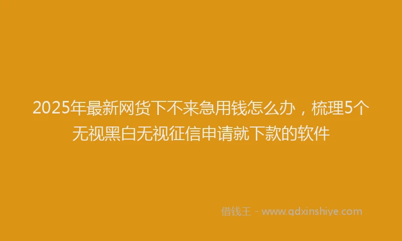 2025年最新网货下不来急用钱怎么办，梳理5个无视黑白无视征信申请就下款的软件