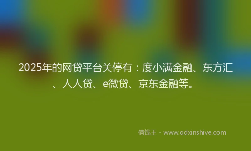 2025年的网贷平台关停有：度小满金融、东方汇、人人贷、e微贷、京东金融等。