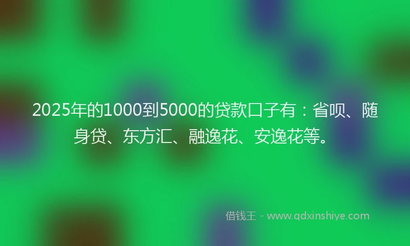 2025年的1000到5000的贷款口子有：省呗、随身贷、东方汇、融逸花、安逸花等。